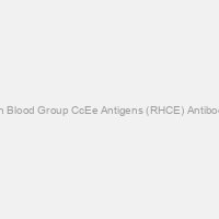 Rh Blood Group CcEe Antigens (RHCE) Antibody